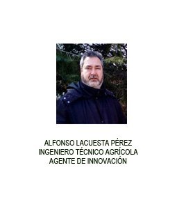 Alfonso Lacuesta