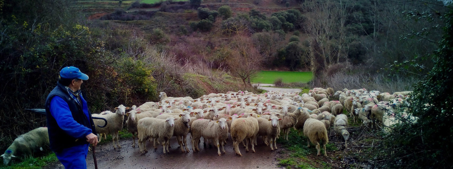 Agricultores y ganaderos locales