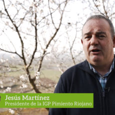 Jesús Martínez, Presidente de la IGP Pimiento Riojano, relata las formas de comercialización de este producto.
